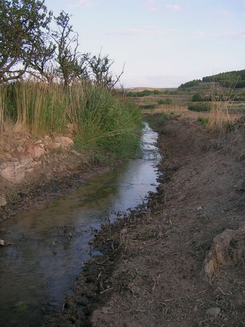02 El río Ortiz en 2005. L'arriu Ortiz en 2005